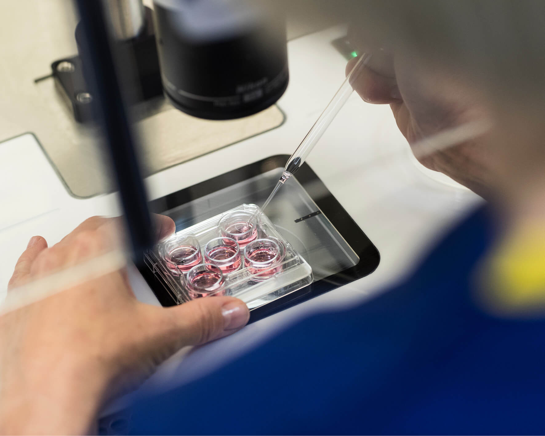 Embryologist in the lab looking at fertility samples through a microscope